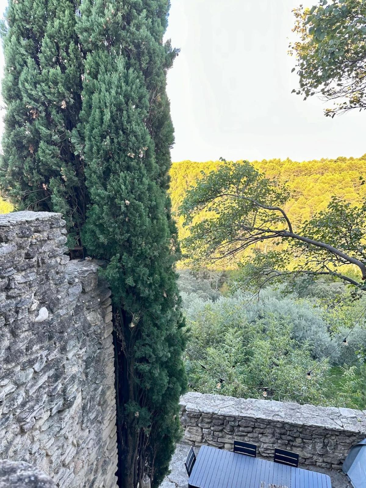 La Maison Haut-Perche Townhouse With View And Jacuzzi ソルマーヌ・ド・ボークリューズ エクステリア 写真